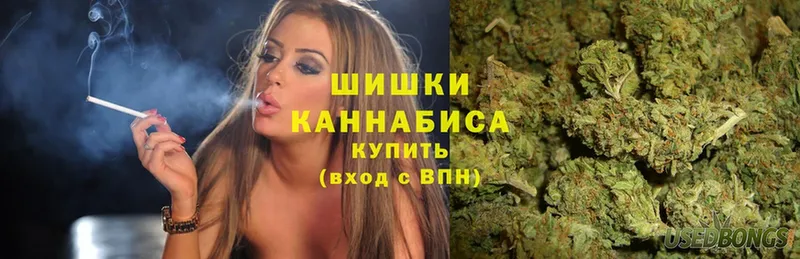 Каннабис планчик  Белокуриха 